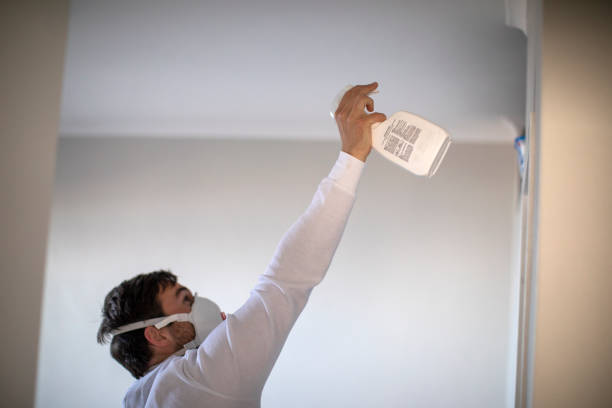 Best Mold Removal and Inspection  in Kodi Station, AK