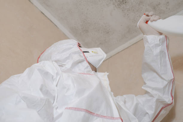 Best Best Mold Removal Companies  in Kodi Station, AK