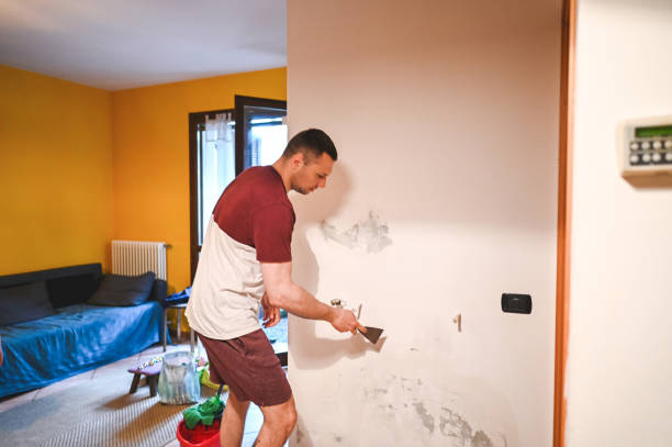 Best Same-Day Mold Removal  in Kodi Station, AK