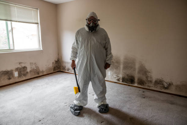 Best Toxic Mold Removal  in Kodi Station, AK